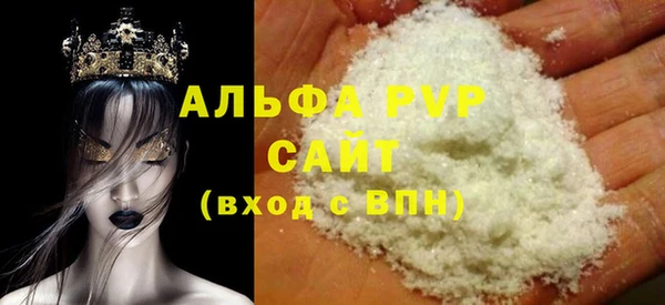 гидра Корсаков