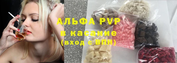 гидра Корсаков