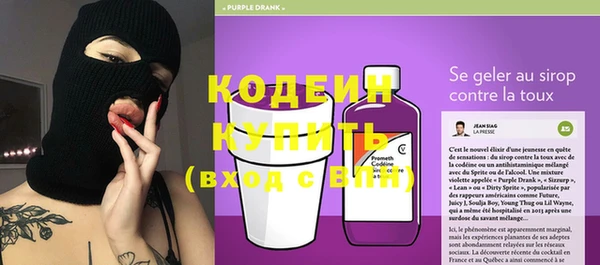 гидра Корсаков