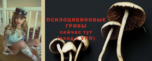 гидра Корсаков