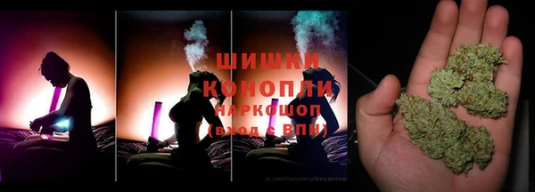 гидра Корсаков