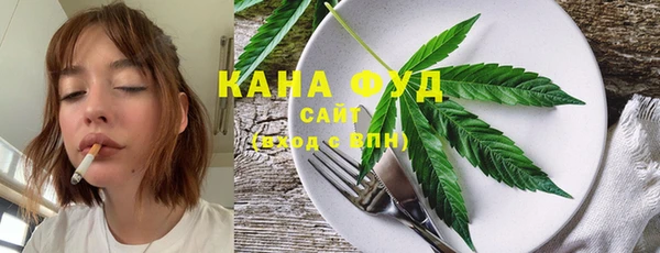 гидра Корсаков