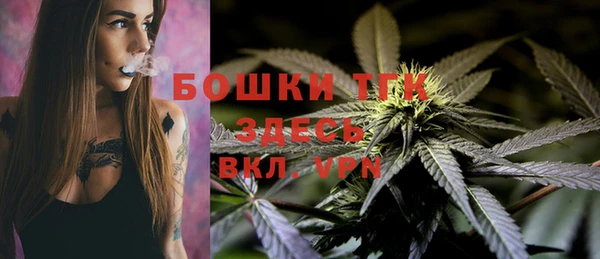 гидра Корсаков
